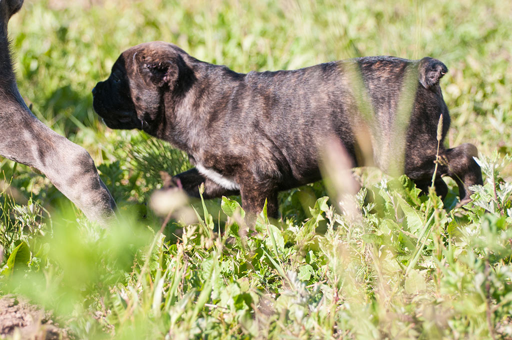 DSC_6646